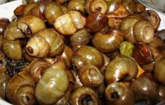 Ricetta - Lumache